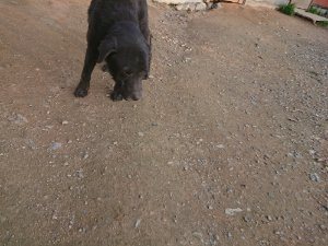 f:id:roukenhome-ann:20181113080927j:plain