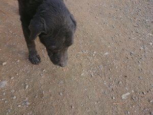 f:id:roukenhome-ann:20181113080933j:plain