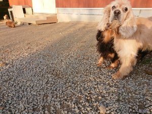 f:id:roukenhome-ann:20181113080937j:plain