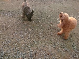 f:id:roukenhome-ann:20181113080944j:plain
