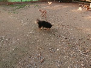 f:id:roukenhome-ann:20181113080948j:plain