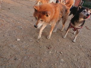 f:id:roukenhome-ann:20181113081009j:plain