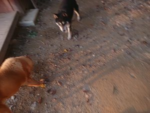 f:id:roukenhome-ann:20181113081013j:plain