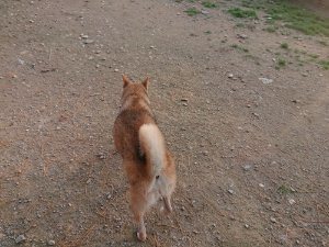 f:id:roukenhome-ann:20181113081020j:plain