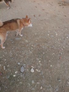 f:id:roukenhome-ann:20181113081024j:plain