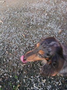 f:id:roukenhome-ann:20181113081602j:plain
