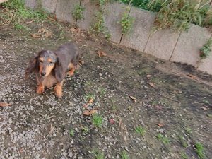 f:id:roukenhome-ann:20181113081621j:plain