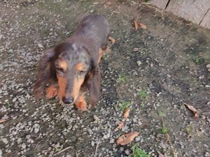 f:id:roukenhome-ann:20181113081629j:plain