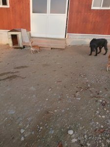f:id:roukenhome-ann:20181113081638j:plain