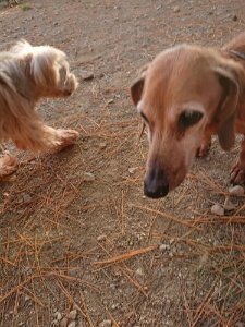 f:id:roukenhome-ann:20181113081648j:plain