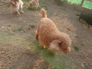 f:id:roukenhome-ann:20181113081655j:plain
