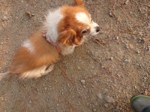 f:id:roukenhome-ann:20181113081659j:plain