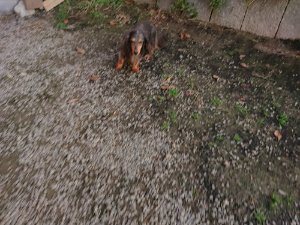 f:id:roukenhome-ann:20181113081706j:plain