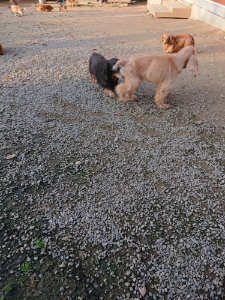 f:id:roukenhome-ann:20181113081710j:plain