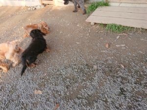f:id:roukenhome-ann:20181113081714j:plain