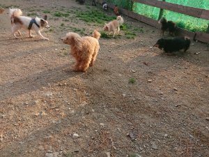 f:id:roukenhome-ann:20181113081725j:plain