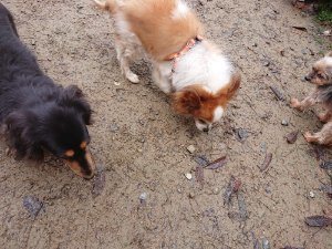 f:id:roukenhome-ann:20181113204605j:plain