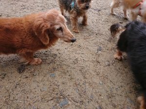 f:id:roukenhome-ann:20181113204634j:plain
