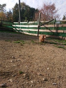 f:id:roukenhome-ann:20181113204646j:plain