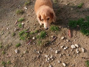 f:id:roukenhome-ann:20181113204715j:plain