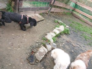 f:id:roukenhome-ann:20181113204805j:plain