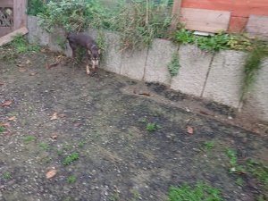 f:id:roukenhome-ann:20181113204814j:plain
