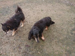 f:id:roukenhome-ann:20181113205103j:plain
