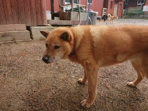 f:id:roukenhome-ann:20181113205129j:plain