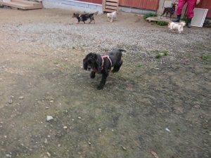 f:id:roukenhome-ann:20181113205138j:plain
