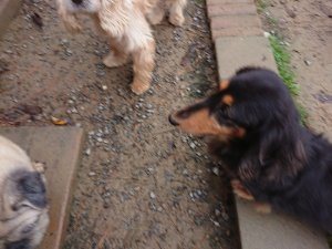 f:id:roukenhome-ann:20181113205150j:plain