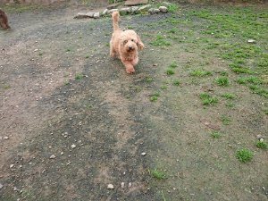 f:id:roukenhome-ann:20181113205243j:plain