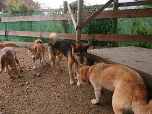f:id:roukenhome-ann:20181113205259j:plain