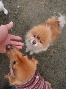 f:id:roukenhome-ann:20181113205309j:plain