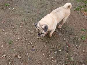 f:id:roukenhome-ann:20181113205447j:plain