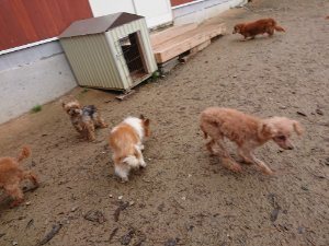 f:id:roukenhome-ann:20181113205503j:plain