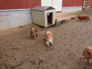 f:id:roukenhome-ann:20181113205508j:plain