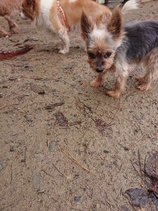 f:id:roukenhome-ann:20181113205544j:plain