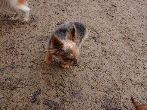 f:id:roukenhome-ann:20181113205611j:plain