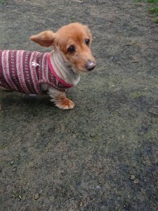 f:id:roukenhome-ann:20181113205639j:plain