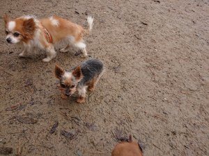 f:id:roukenhome-ann:20181113205651j:plain