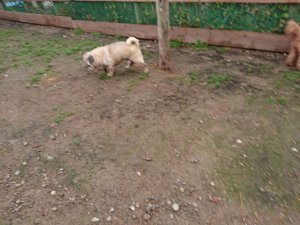 f:id:roukenhome-ann:20181113205655j:plain