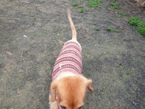 f:id:roukenhome-ann:20181113205709j:plain