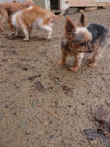 f:id:roukenhome-ann:20181113205721j:plain