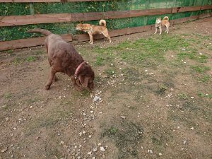 f:id:roukenhome-ann:20181113205901j:plain