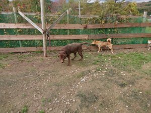 f:id:roukenhome-ann:20181113205927j:plain
