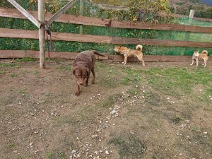 f:id:roukenhome-ann:20181113205931j:plain