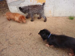f:id:roukenhome-ann:20181113205935j:plain