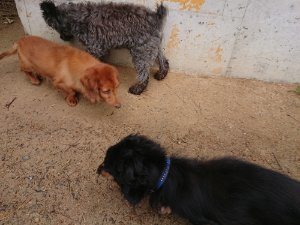 f:id:roukenhome-ann:20181113205939j:plain