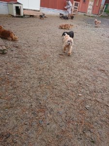 f:id:roukenhome-ann:20181113210218j:plain