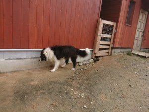 f:id:roukenhome-ann:20181113210232j:plain